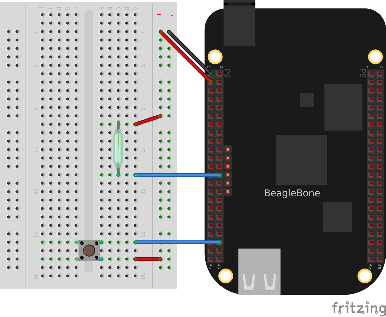 Bone with pushbutton